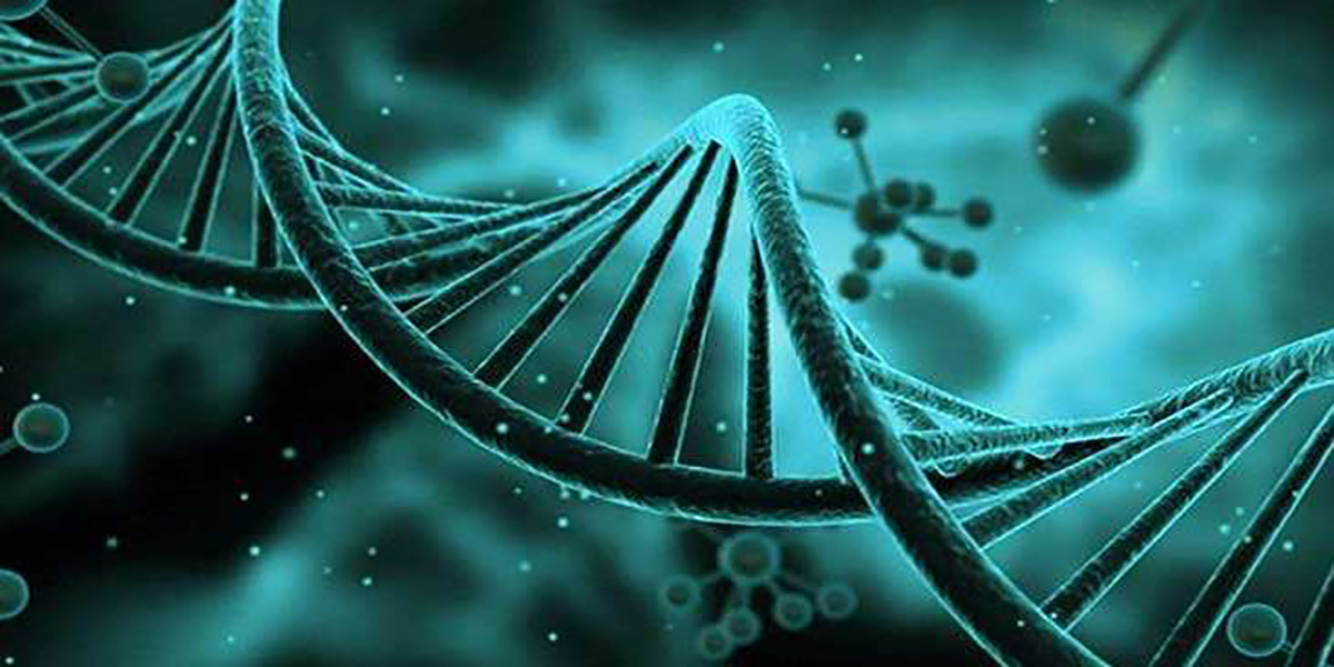 泰国试管婴儿流程与操作规范