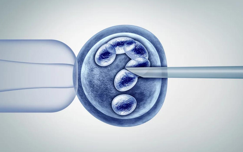 泰国试管婴儿技术评估