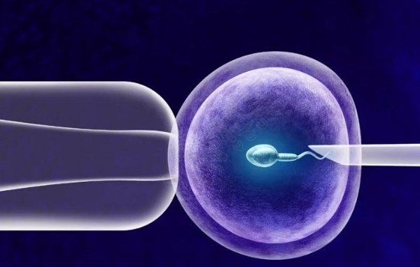 泰国试管婴儿技术优势解析