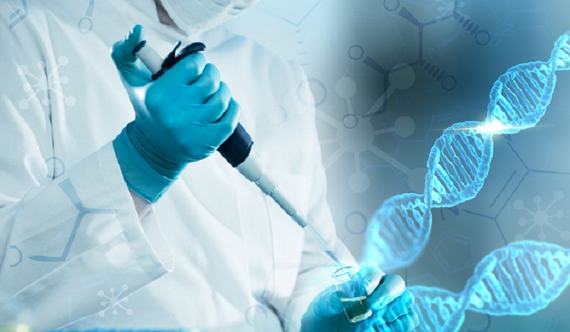 泰国试管婴儿的优势与技术突破