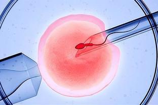 泰国试管婴儿的费用