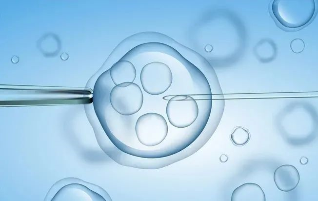 泰国试管婴儿技术解析与案例分享