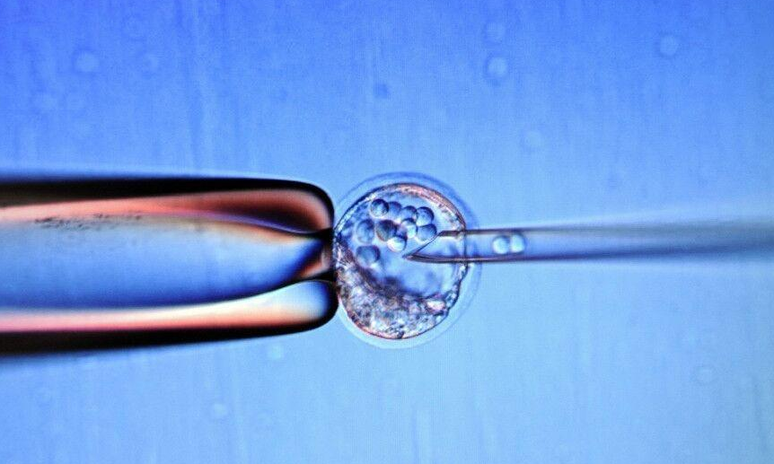 泰国试管婴儿技术发展现状与选择指南