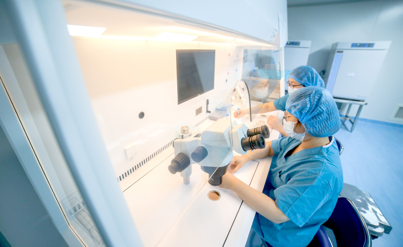 泰国试管婴儿技术解析与操作流程