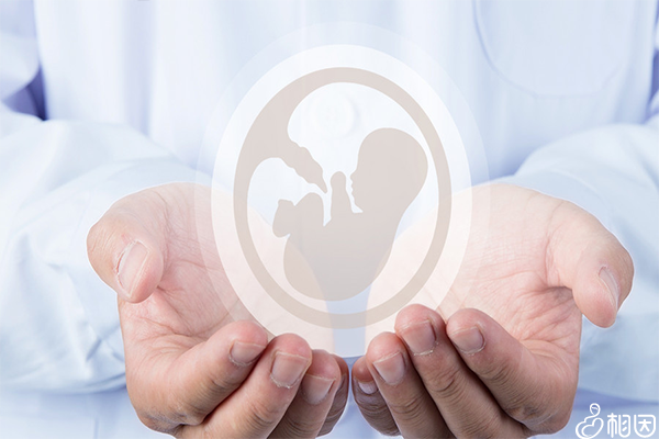 泰国试管婴儿技术：恒健海外助孕服务解析