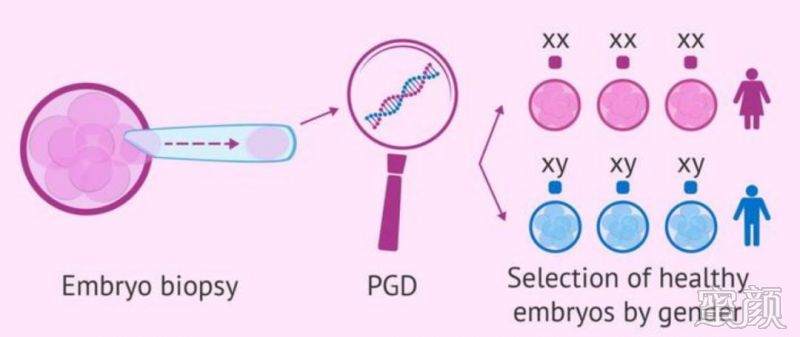 泰国试管婴儿技术：专家解读与案例分析